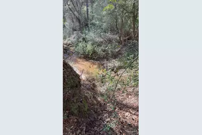 000 Native Creek Rd, Milton, FL 32571 - Photo 12