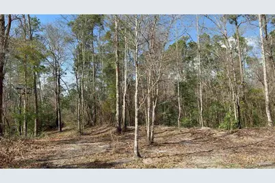 000 Native Creek Rd, Milton, FL 32571 - Photo 2