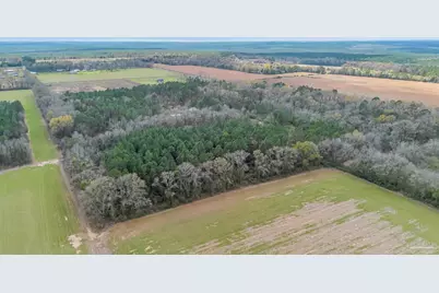 7900 Enon School Rd, McDavid, FL 32568 - Photo 14