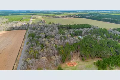 7900 Enon School Rd, McDavid, FL 32568 - Photo 6