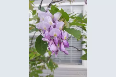 6351 Cottage Woods Dr, Milton, FL 32570 - Photo 14