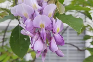 6351 Cottage Woods Dr, Milton, FL 32570 - Photo 14