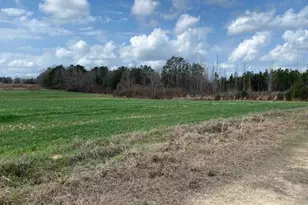 000 Hwy 399, Jay, FL 32565 - Photo 1