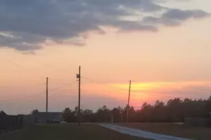 1770 Annie Penton Rd, Jay, FL 32565 - Photo 60