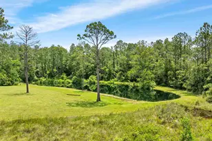 20800 Co Rd 87, Robertsdale, AL 36567 - Photo 38