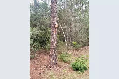 2943 N 13th Ave, Milton, FL 32583 - Photo 28