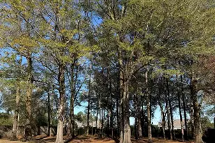 4124 Erika Ct, Pensacola, FL 32526 - Photo 50