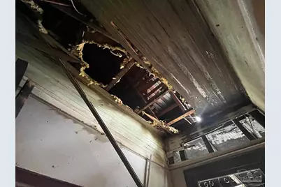 310 E Moreno St, Pensacola, FL 32503 - Photo 24