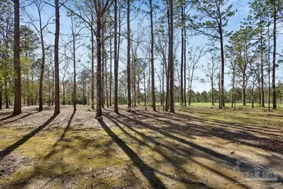 2510 Thomas McCall Ln, McDavid, FL 32568 - Photo 6