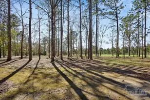 2510 Thomas McCall Ln, McDavid, FL 32568 - Photo 6