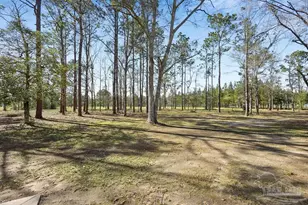 2510 Thomas McCall Ln, McDavid, FL 32568 - Photo 4