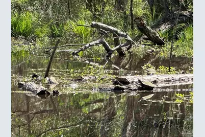 435 Meander Ln, Cantonment, FL 32533 - Photo 46