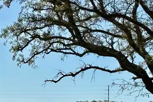 326 W Sunset Ave, Pensacola, FL 32507 - Photo 14