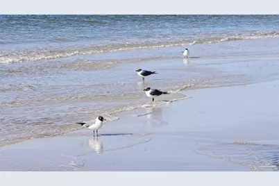 25770 Blufton Ave, Orange Beach, AL 36561 - Photo 72