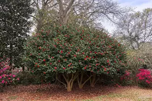 2373 Escambia Ave, Pensacola, FL 32503 - Photo 40