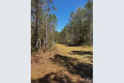 0000 Hwy 89, Milton, FL 32583 - Photo 10
