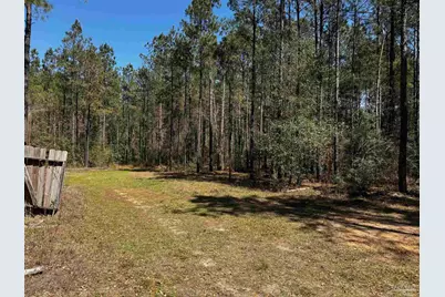 0000 Hwy 89, Milton, FL 32583 - Photo 4