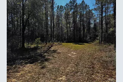 0000 Hwy 89, Milton, FL 32583 - Photo 6