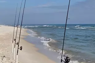 16310 Perdido Key Dr, Pensacola, FL 32507 - Photo 46