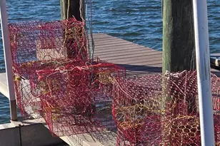 16310 Perdido Key Dr, Pensacola, FL 32507 - Photo 36