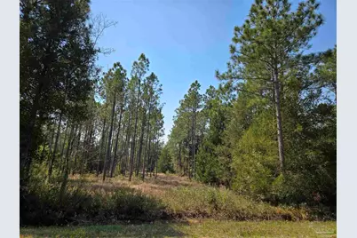 6641 Delhi Dr, Milton, FL 32583 - Photo 2