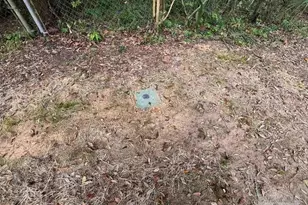 3109 N R St, Pensacola, FL 32505 - Photo 4