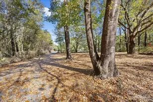 4205 Elvis Presley Dr, Milton, FL 32583 - Photo 20