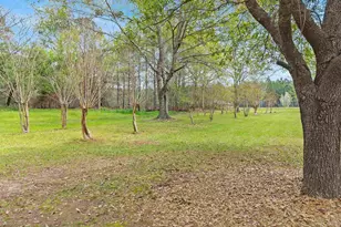 4211 Hwy 99, Century, FL 32535 - Photo 34