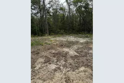 6318 Donna Dr, Molino, FL 32577 - Photo 8