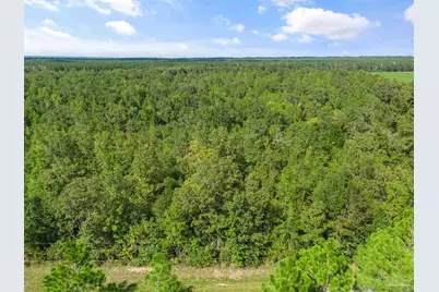 Parcel 14 Sid Hayes Rd, Jay, FL 32565 - Photo 2