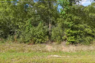 Parcel 14 Sid Hayes Rd, Jay, FL 32565 - Photo 1