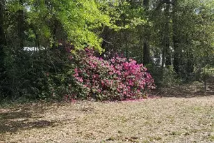 5308 Persimmon Hollow Rd, Milton, FL 32583 - Photo 18