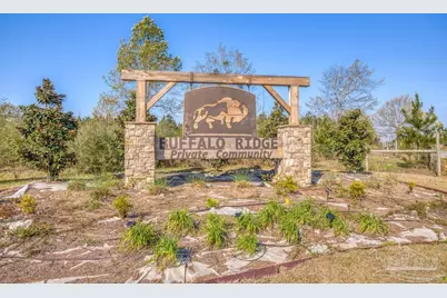 Lot 42 Buffalo Ridge Rd, Pace, FL 32571 - Photo 4