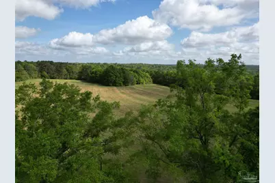 1350 W Hwy 4, Century, FL 32535 - Photo 4