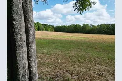 1350 W Hwy 4, Century, FL 32535 - Photo 6