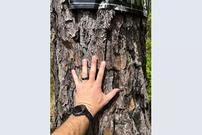 8200 Blk Grimes Rd, Century, FL 32535 - Photo 18