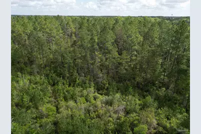 8200 Blk Grimes Rd, Century, FL 32535 - Photo 14