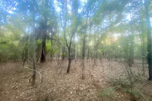 14 Acres Hwy 4, Jay, FL 32565 - Photo 4