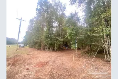 13 Acres Hwy 4, Jay, FL 32565 - Photo 10