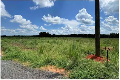 Lot 3 Three Hollow Rd, Milton, FL 32570 - Photo 6