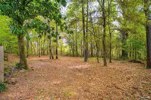 2066 Sid Hayes Rd, Jay, FL 32565 - Photo 26