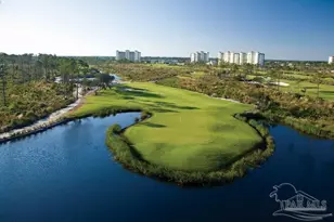 14538 Salt Meadow Dr, Perdido Key, FL 32507 - Photo 40