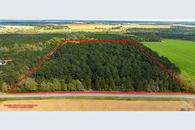 Tbd Corley Rd, Walnut Hill, FL 32568 - Photo 20