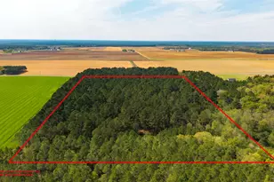 Tbd Corley Rd, Walnut Hill, FL 32568 - Photo 1