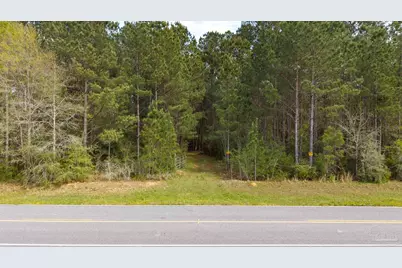 Tbd Corley Rd, Walnut Hill, FL 32568 - Photo 6