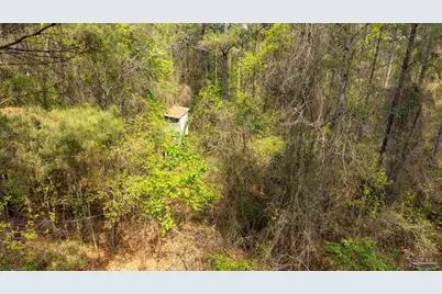 Tbd Corley Rd, Walnut Hill, FL 32568 - Photo 16