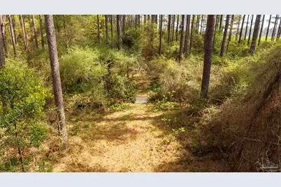 Tbd Corley Rd, Walnut Hill, FL 32568 - Photo 12