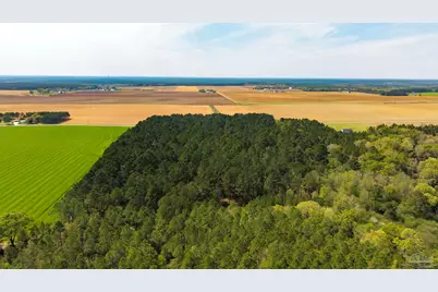 Tbd Corley Rd, Walnut Hill, FL 32568 - Photo 2