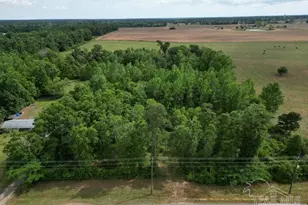 2000 Molino Rd, Molino, FL 32577 - Photo 1