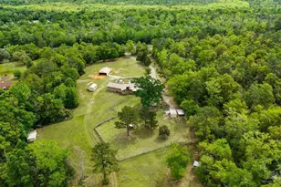 241 S Century Blvd, McDavid, FL 32568 - Photo 54